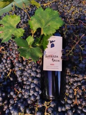 Willa Agritur Calvola Tenno Zewnętrze zdjęcie