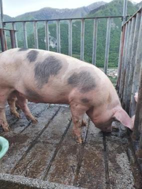 Willa Agritur Calvola Tenno Zewnętrze zdjęcie