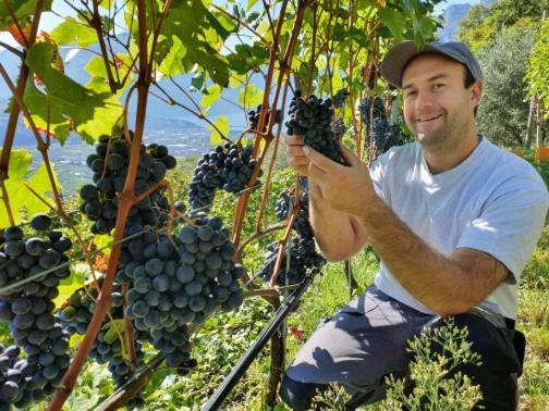 Willa Agritur Calvola Tenno Zewnętrze zdjęcie