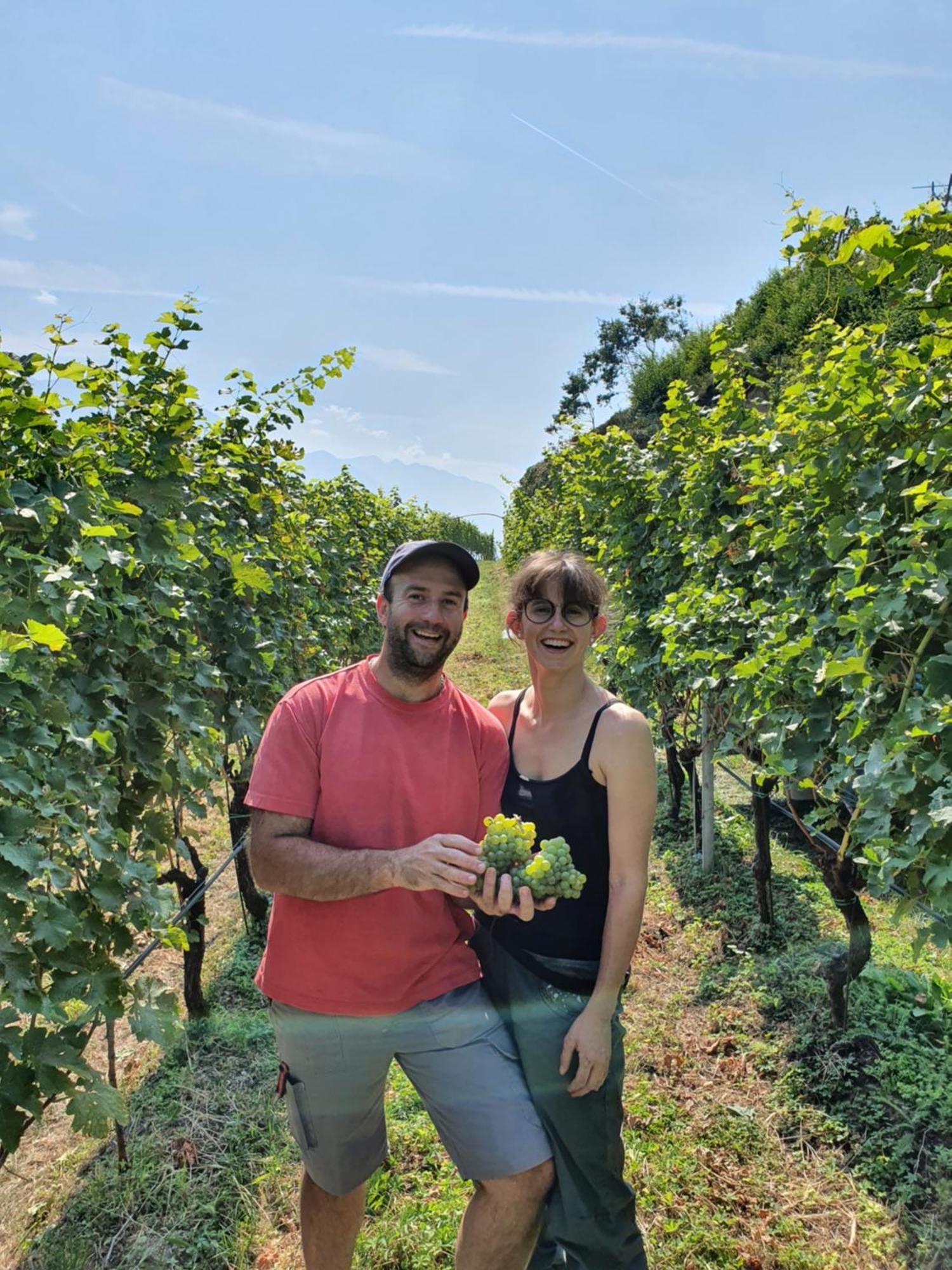 Willa Agritur Calvola Tenno Zewnętrze zdjęcie